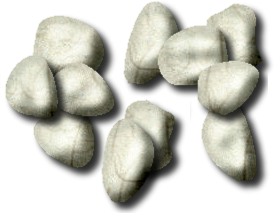 Pierres blanches