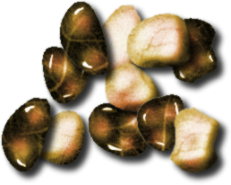 Pierres mordorées